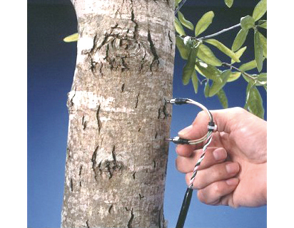 樹木用蒸散測定プローブ (TDP)